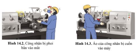 Công nghệ 11 Cánh diều bài 14