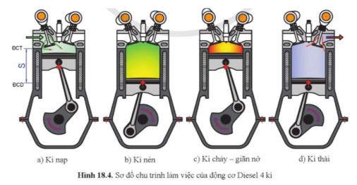 Công nghệ 11 Cánh diều bài 18