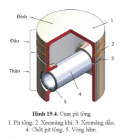 Công nghệ 11 Cánh diều bài 19