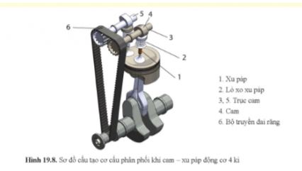 Công nghệ 11 Cánh diều bài 19