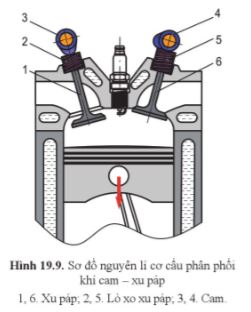 Công nghệ 11 Cánh diều bài 19