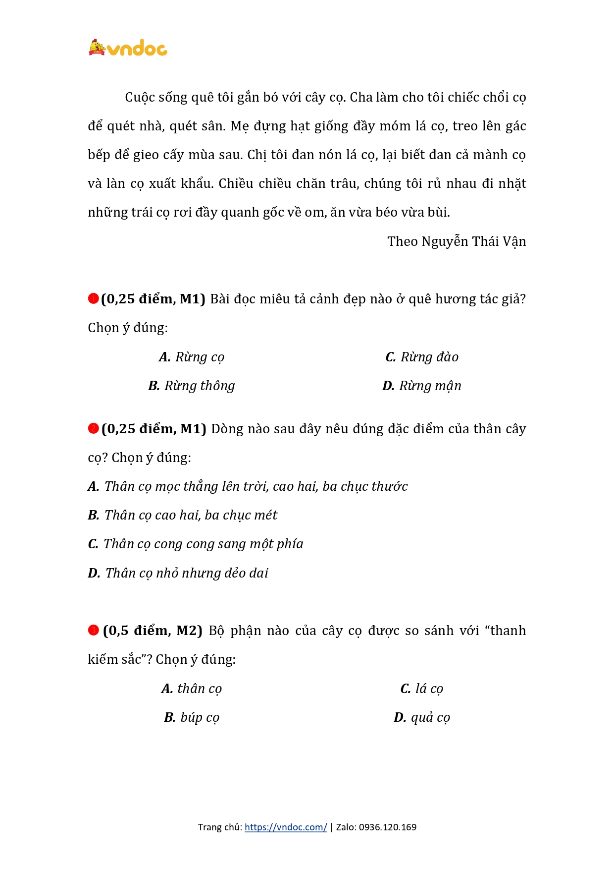 phieu bai tap cuoi tuan lop 4 mon toan tieng viet nang cao canh dieu tuan 18 h2*561793