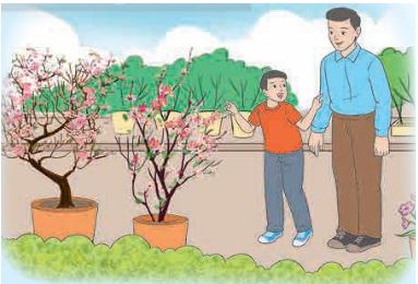 HĐTN lớp 4 trang 52 Hoạt động giáo dục theo chủ đề