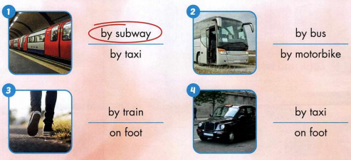 Sách bài tập tiếng Anh 4 unit 5 Culture i Learn Smart Start