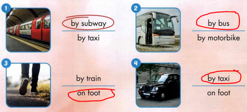 Sách bài tập tiếng Anh 4 unit 5 Culture i Learn Smart Start