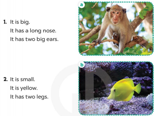 Tiếng Anh lớp 4 Extension Activities trang 38 39 Global success