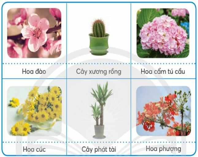 Khám phá trang 8 SGK Công nghệ 4