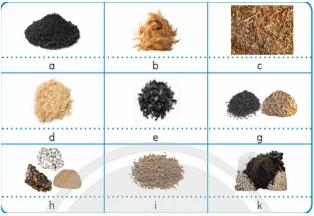 Khám phá trang 15 SGK Công nghệ 4