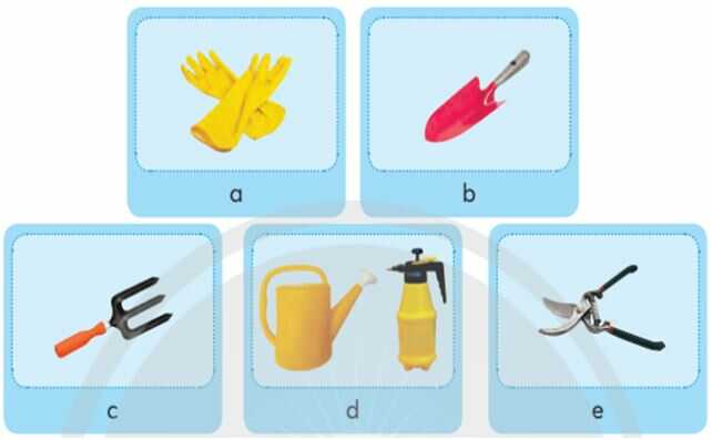 Khám phá trang 17 SGK Công nghệ 4