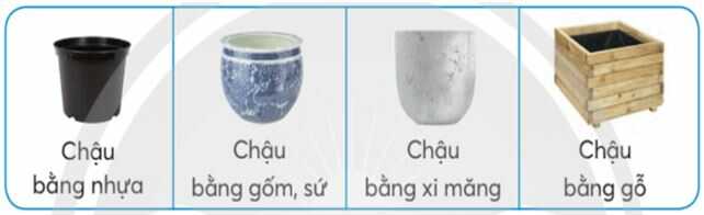 Luyện tập 2 trang 19 SGK Công nghệ 4