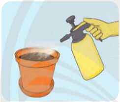 Khám phá trang 21 SGK Công nghệ 4