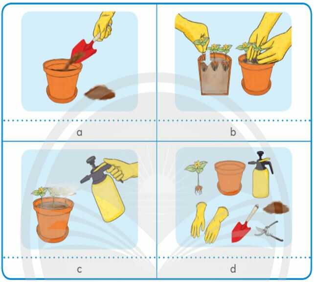 Khám phá trang 25 SGK Công nghệ 4