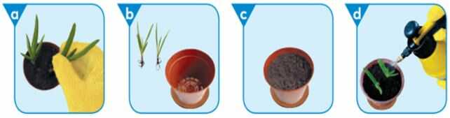 Luyện tập trang 36 SGK Công nghệ 4