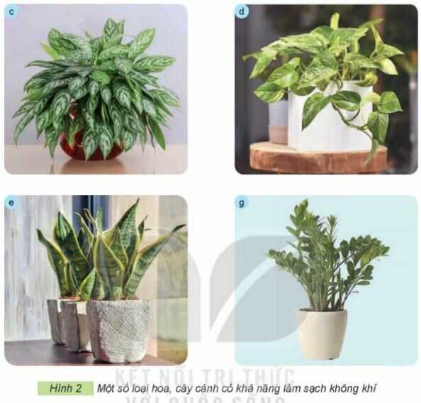 Khám phá trang 7 SGK Công nghệ 4