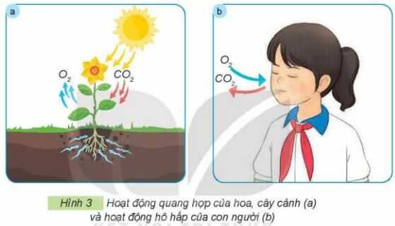 Khám phá 1 trang 9 SGK Công nghệ 4