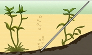 Lý thuyết Hóa 9 Bài 36: Metan | Hóa học lớp 9 (ảnh 1)