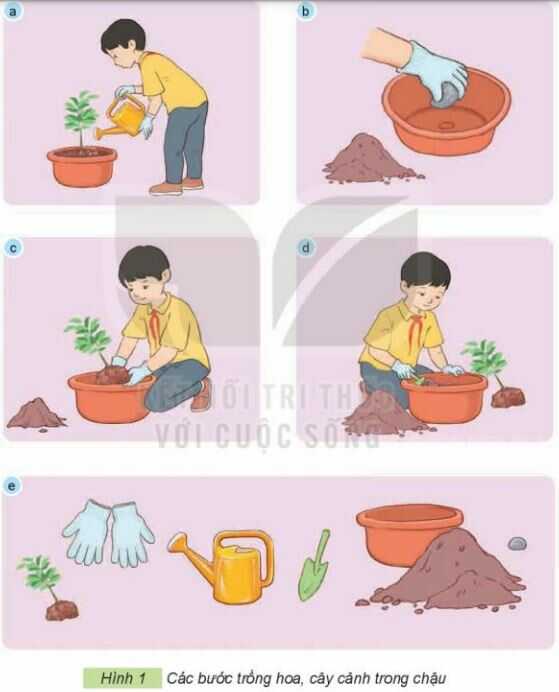 Khám phá trang 25 SGK Công nghệ 4