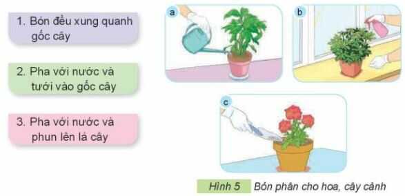 Khám phá trang 29 SGK Công nghệ 4