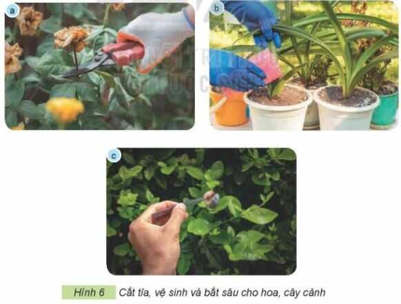 Khám phá trang 30 SGK Công nghệ 4