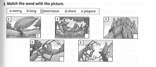 Family and Friends 5 Workbook Unit 8 Lesson 5
