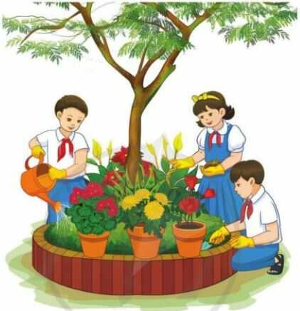 Khám phá trang 7 SGK Công nghệ 4