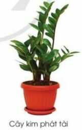 Khám phá trang 13 SGK Công nghệ 4