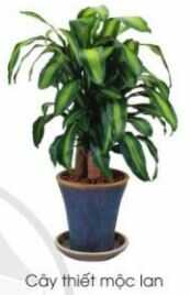 Khám phá trang 14 SGK Công nghệ 4