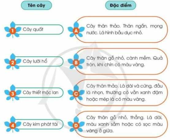 Trò chơi trang 15 SGK Công nghệ 4