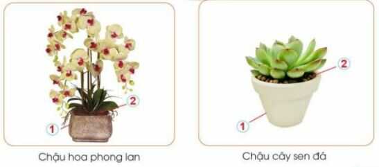 Khám phá trang 16 SGK Công nghệ 4