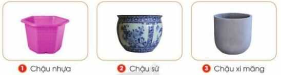 Khám phá trang 17 SGK Công nghệ 4