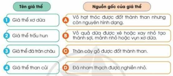 Khám phá trang 19 SGK Công nghệ 4