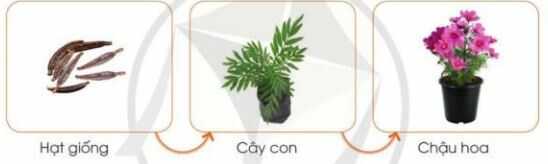 Khởi động trang 22 SGK Công nghệ 4