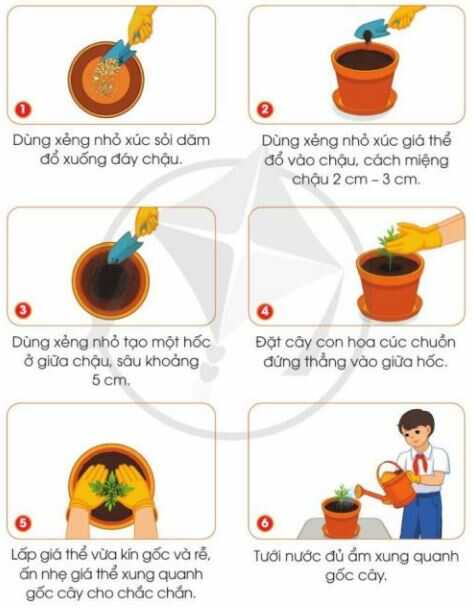 Khám phá trang 27 SGK Công nghệ 4