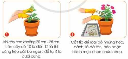 Khám phá trang 30 SGK Công nghệ 4