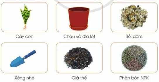 Khám phá trang 35 SGK Công nghệ 4