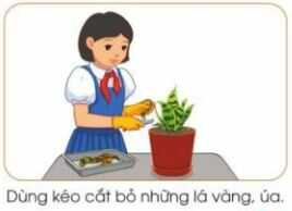 Khám phá trang 39 SGK Công nghệ 4