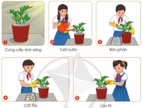 Thực hành trang 41 SGK Công nghệ 4