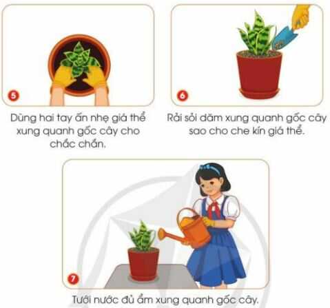 Khám phá trang 36 SGK Công nghệ 4