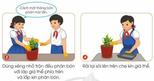 Khám phá trang 38 SGK Công nghệ 4