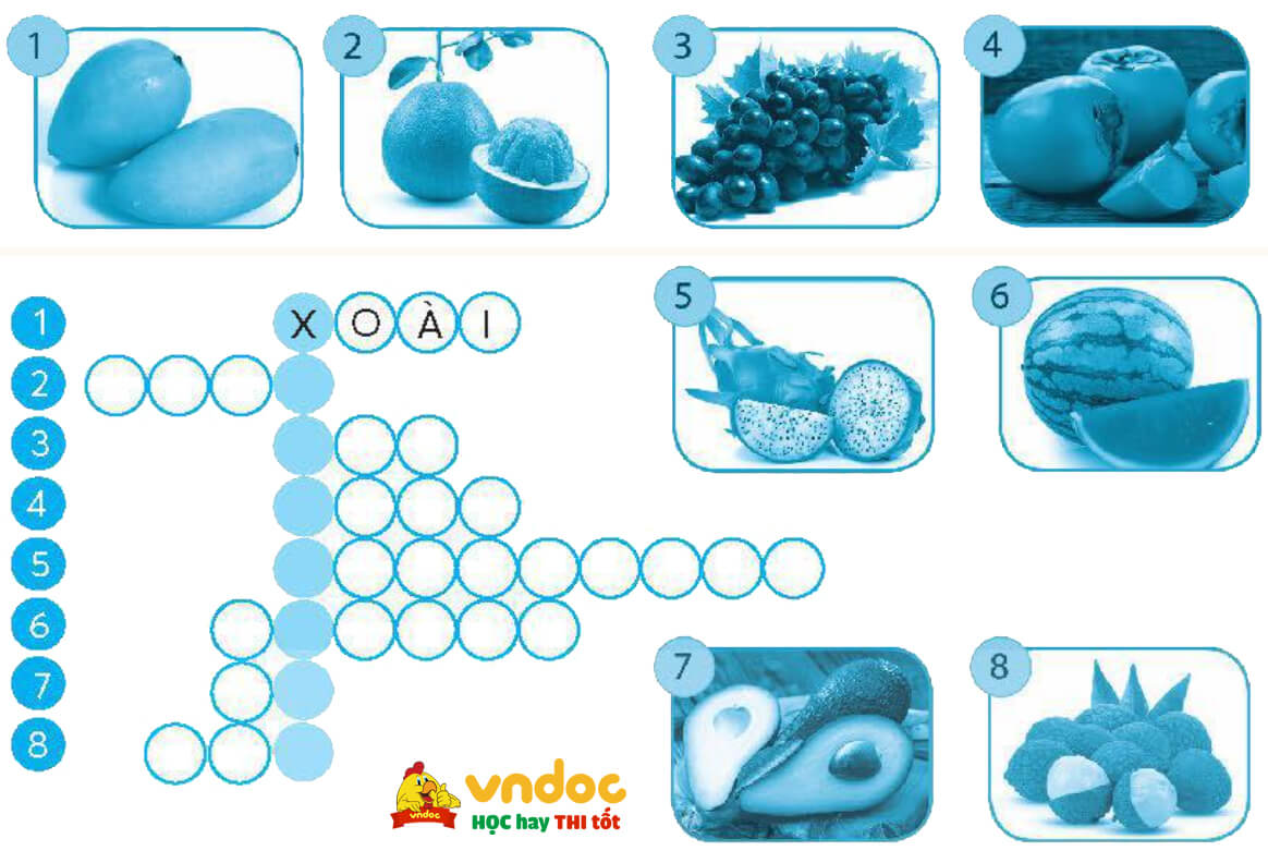Bài 5 Hoa cúc áo lớp 4 Vở bài tập