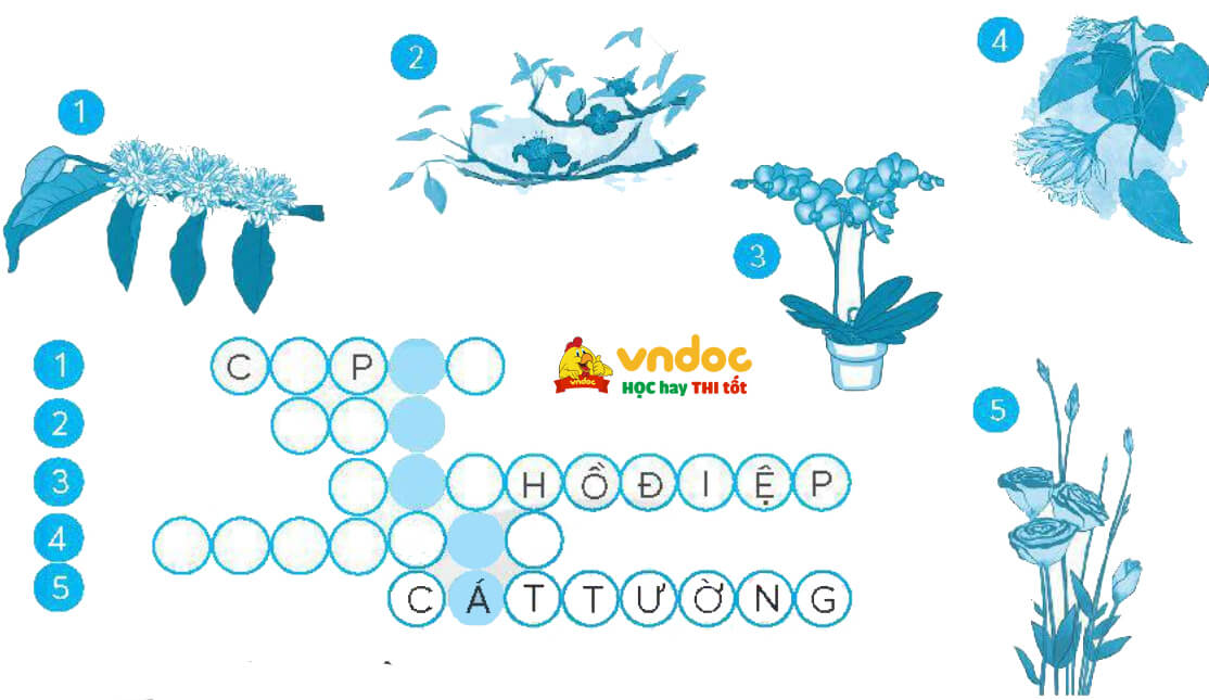 Bài 2: Kì lạ thế giới thực vật ở Nam Mỹ