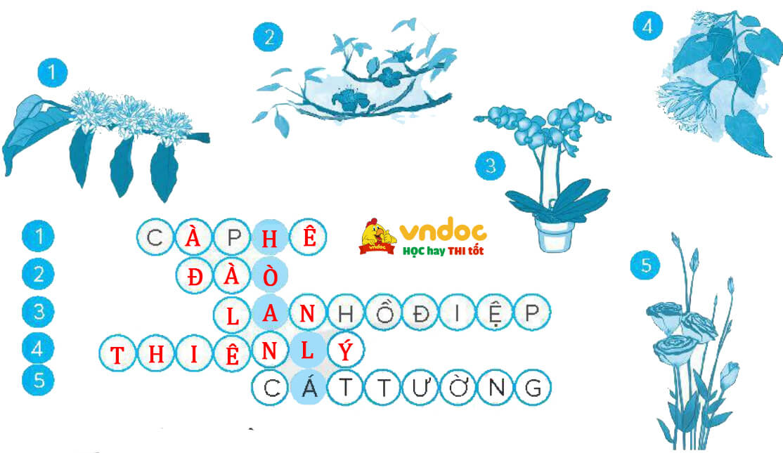 Bài 2: Kì lạ thế giới thực vật ở Nam Mỹ