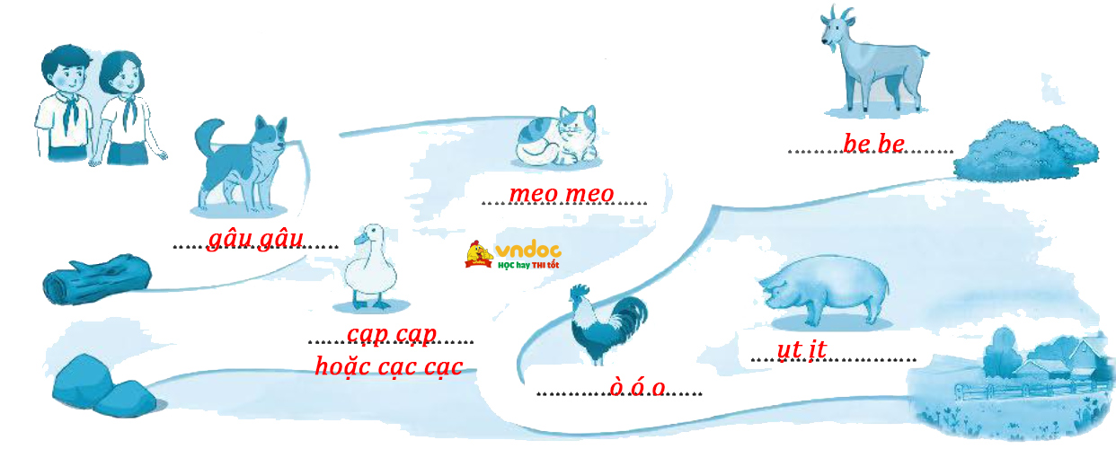 Bài 5: Biển và rừng cây dưới lòng đất