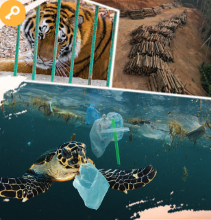 Tiếng Anh 11 Smart World Unit 7 Lesson 3