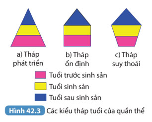 Hình 42.3