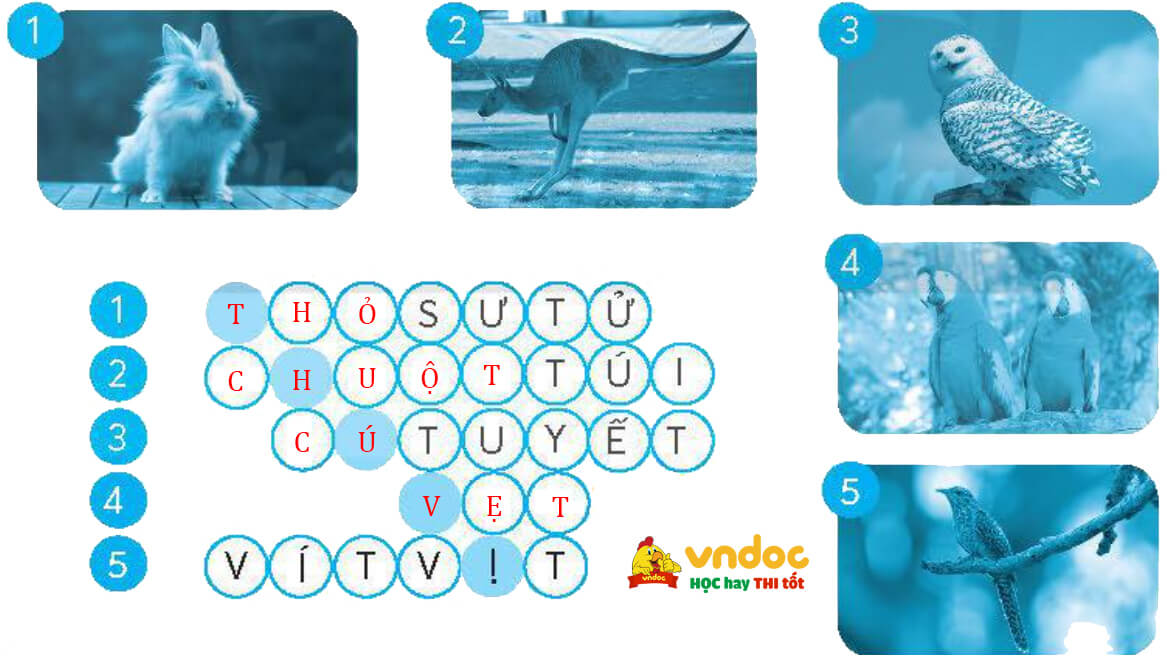 Bài 6: Thành phố nối hai châu lục