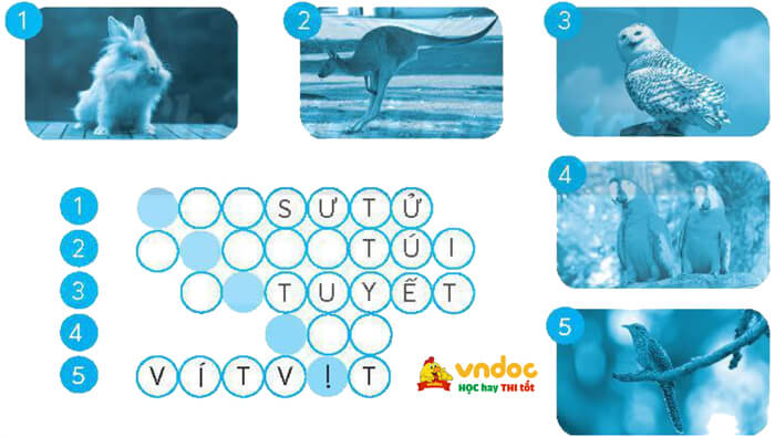 Bài 6: Thành phố nối hai châu lục