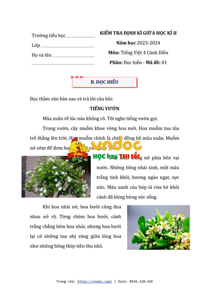 de thi tieng viet giua ki 2 lop 4 sach canh dieu de 1 h5*570427