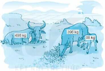 Vở bài tập Toán lớp 4 Tập 2 trang 30 Bài 4