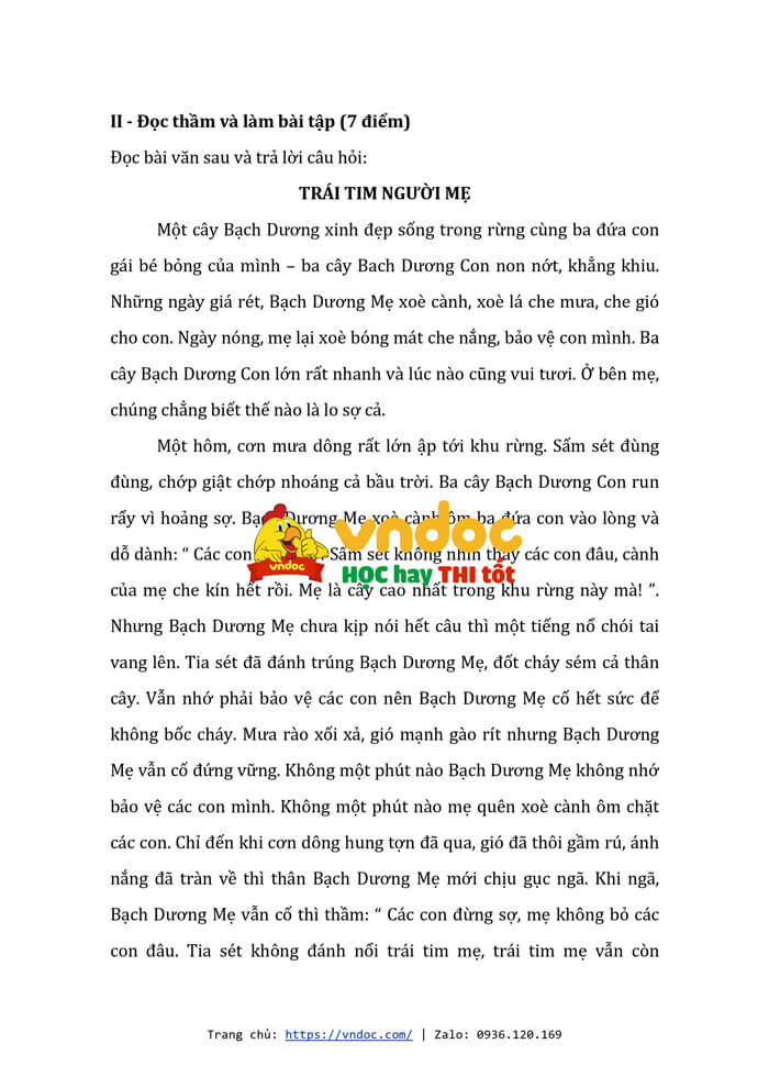 de thi giua hoc ki 2 lop 5 mon tieng viet so 2 h6*571395